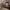 https://res.cloudinary.com/billionhands/image/upload/v1778784597/items/ejhp6rotslsqlm81dua8.jpg-3cover