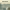 https://res.cloudinary.com/billionhands/image/upload/v1778785647/items/tjtcoqvntl25rcoc2qdr.jpg-0cover