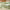 https://res.cloudinary.com/billionhands/image/upload/v1778787583/items/i1lyckehscc4auxfqn2e.webp-1cover