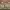 https://res.cloudinary.com/billionhands/image/upload/v1778788315/items/bevgn86dtjdisqxko7un.webp-2cover