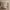 https://res.cloudinary.com/billionhands/image/upload/v1778789291/items/xbaa2nqpqwxv3iyq4hnd.jpg-3cover