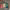 https://res.cloudinary.com/billionhands/image/upload/v1778789676/items/zpxruzmtsjlohj2qttt6.webp-0cover