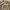https://res.cloudinary.com/billionhands/image/upload/v1778790009/items/texg0xvprgbeh2mvvpoy.avif-1cover