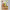 MERCATDOG HEALTH FOOD PLAY SL cover