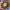 https://res.cloudinary.com/billionhands/image/upload/v1778790617/items/fo6leb7tt1eum3wulfkz.jpg-0cover