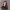 https://res.cloudinary.com/billionhands/image/upload/v1778791618/items/u5ndgfknqgph0jxg6dxz.jpg-3cover