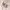 https://res.cloudinary.com/billionhands/image/upload/v1778793984/items/vcxrgimqwylirosp7rny.jpg-2cover
