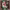 https://res.cloudinary.com/billionhands/image/upload/v1778796057/items/ymhkucxzlz5yldfsrzrb.jpg-2cover