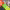 https://res.cloudinary.com/billionhands/image/upload/v1778801109/items/upr2qybgotzyu84nsixc.avif-2cover