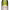 Church Road Sauvignon Blanc (2024) cover