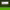 Horsetail (Equisetum arvense) cover