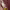 https://res.cloudinary.com/billionhands/image/upload/v1778802744/items/poh7sorhgom20s2yehmu.jpg-2cover