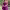 https://res.cloudinary.com/billionhands/image/upload/v1778802962/items/b5gqkncpu0dzvqfbcszt.webp-3cover