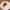 https://res.cloudinary.com/billionhands/image/upload/v1778805211/items/vnrvnnnu3rzruwi3cop7.jpg-2cover