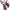 https://res.cloudinary.com/billionhands/image/upload/v1778806148/items/ldroesitlk3bsom16ct4.webp-1cover