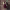 https://res.cloudinary.com/billionhands/image/upload/v1778807706/items/tj9adjsitk3mwgrdvcrv.webp-2cover