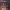 https://res.cloudinary.com/billionhands/image/upload/v1778808990/items/od1cahnx3pfupd1fjvxx.webp-1cover