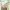 https://res.cloudinary.com/billionhands/image/upload/v1778812511/items/y8iqvtz0fs5h10scfunf.jpg-0cover