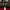 https://res.cloudinary.com/billionhands/image/upload/v1778812614/items/banybrnetu7tsieyoepi.jpg-0cover