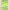 https://res.cloudinary.com/billionhands/image/upload/v1778815160/items/gde9lckyw6a8ozwdbmkv.jpg-1cover