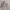 https://res.cloudinary.com/billionhands/image/upload/v1778821456/items/oqewsiilexif9mlooyr5.jpg-1cover