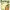 https://res.cloudinary.com/billionhands/image/upload/v1778822965/items/htf5eennz1njcxdkgcox.webp-3cover