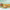 Vungr Vegan Burgers cover