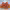 https://res.cloudinary.com/billionhands/image/upload/v1778824317/items/cnt4ghk4xvbeocpfmebp.webp-3cover