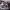 https://res.cloudinary.com/billionhands/image/upload/v1778824415/items/w1pc9gjhsdwfgvddjbyg.jpg-2cover