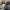 https://res.cloudinary.com/billionhands/image/upload/v1778824426/items/xoblzhqoujjfviapkhuk.webp-2cover