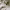 https://res.cloudinary.com/billionhands/image/upload/v1778825557/items/hd6vhdcfdaiuqzlkzno6.png-0cover