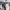 https://res.cloudinary.com/billionhands/image/upload/v1778825559/items/pjpbycnyjnzxqt6jch3w.jpg-1cover