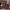 https://res.cloudinary.com/billionhands/image/upload/v1778827770/items/skh3vwzgqbkhadccay5p.avif-0cover