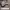 https://res.cloudinary.com/billionhands/image/upload/v1778831194/items/aaofanmqabhk6cios4r1.webp-3cover