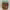 https://res.cloudinary.com/billionhands/image/upload/v1778831659/items/nkob3p5rjw7hhlhqy8vp.webp-3cover