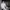 https://res.cloudinary.com/billionhands/image/upload/v1778836394/items/srz0qtan9mvt5xiisqcv.jpg-1cover