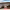 https://res.cloudinary.com/billionhands/image/upload/v1778836400/items/gswzkivmxklpfpqnqdve.jpg-1cover