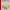 https://res.cloudinary.com/billionhands/image/upload/v1778836407/items/c2j4iiv9ai5os4trrhvm.jpg-1cover