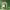 https://res.cloudinary.com/billionhands/image/upload/v1778840864/items/vwfflsckgtfr09obxfcd.avif-0cover