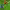 https://res.cloudinary.com/billionhands/image/upload/v1778841267/items/n10w9akr4vstxhmjmrff.jpg-3cover