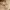 https://res.cloudinary.com/billionhands/image/upload/v1778841609/items/lasqwl0znbnwbbq0lqch.webp-0cover