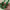https://res.cloudinary.com/billionhands/image/upload/v1778841615/items/opb5kz0agiidgktviaeo.jpg-3cover