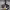 https://res.cloudinary.com/billionhands/image/upload/v1778842169/items/ojqxmmy3rf9j0r7tvmsq.png-3cover