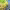 https://res.cloudinary.com/billionhands/image/upload/v1778843628/items/fz8cfo0u11je5pgkppqt.jpg-3cover