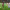 https://res.cloudinary.com/billionhands/image/upload/v1778844181/items/kgcfei7aant6upgiplio.jpg-3cover