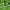https://res.cloudinary.com/billionhands/image/upload/v1778844191/items/gnvjr7gllro78lp9wuil.webp-3cover
