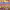 https://res.cloudinary.com/billionhands/image/upload/v1778844944/items/e3vxibjmnl6ei4tlt0nb.jpg-1cover