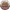 https://res.cloudinary.com/billionhands/image/upload/v1778850596/items/rdghtyyoq1awbcjhl0xn.png-0cover