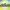 Canadian Crops Convention cover