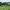 https://res.cloudinary.com/billionhands/image/upload/v1778850602/items/pomxyivowvauttkymlde.webp-1cover